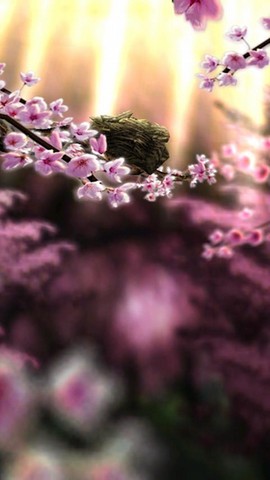 Spring Zen HD