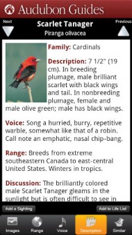 Audubon Birds - A Field Guide