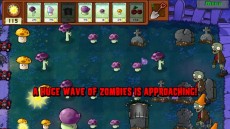 Plants vs Zombies1