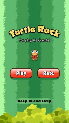 Turtle rock 1