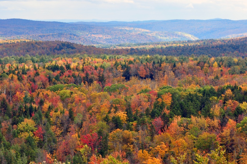 Vermont-Foliage